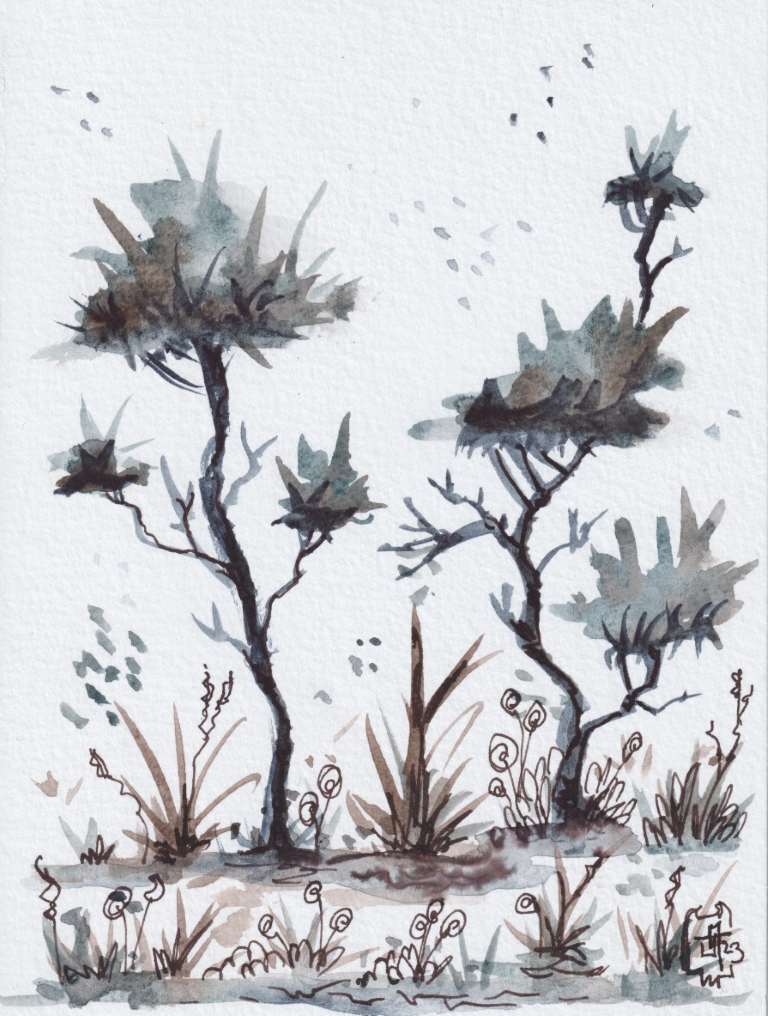 Watercolor painting of some spiky trees