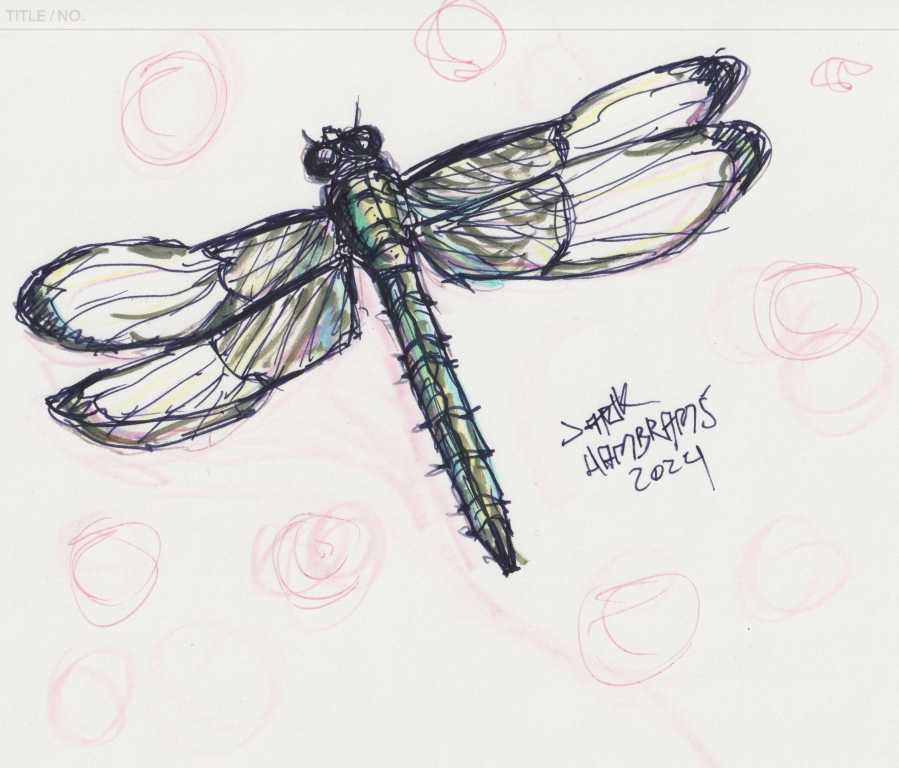A stylized drawing of a dragonfly
